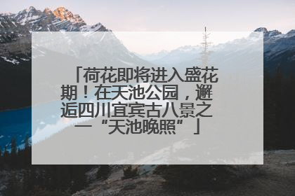 荷花即将进入盛花期！在天池公园，邂逅四川宜宾古八景之一“天池晚照”