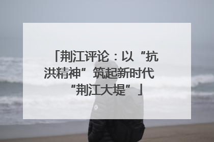 荆江评论：以“抗洪精神”筑起新时代“荆江大堤”