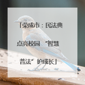 荣成市：民法典点亮校园 “智慧普法”护成长