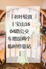 老叶较真丨宝山1604路公交车增设两个临时停靠站