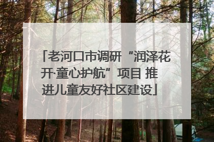 老河口市调研“润泽花开·童心护航”项目 推进儿童友好社区建设