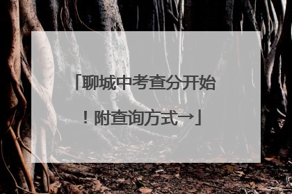 聊城中考查分开始！附查询方式→