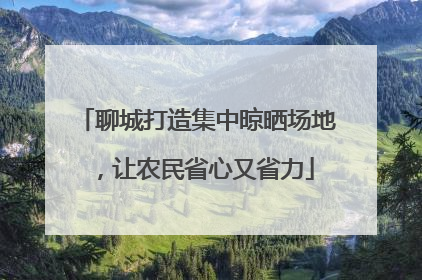 聊城打造集中晾晒场地，让农民省心又省力