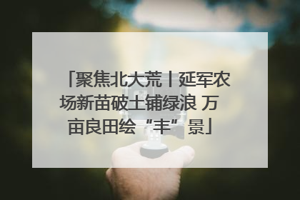 聚焦北大荒丨延军农场新苗破土铺绿浪 万亩良田绘“丰”景