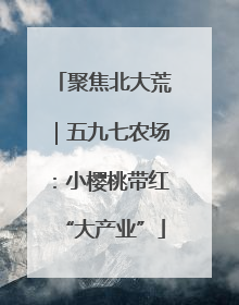聚焦北大荒｜五九七农场：小樱桃带红“大产业”