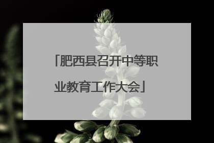 肥西县召开中等职业教育工作大会