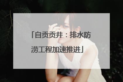 自贡贡井：排水防涝工程加速推进
