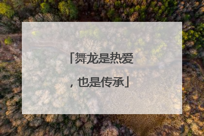 舞龙是热爱，也是传承