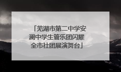 芜湖市第二中学安澜中学生管乐团闪耀全市社团展演舞台