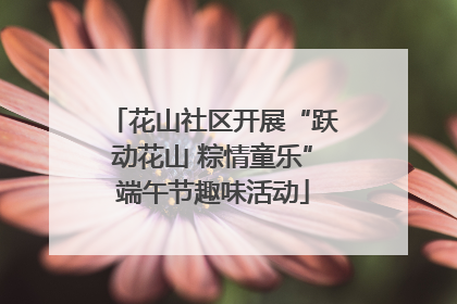花山社区开展“跃动花山 粽情童乐”端午节趣味活动