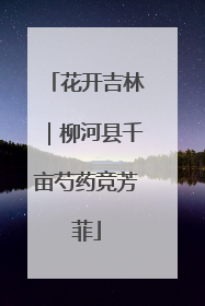 花开吉林｜柳河县千亩芍药竞芳菲