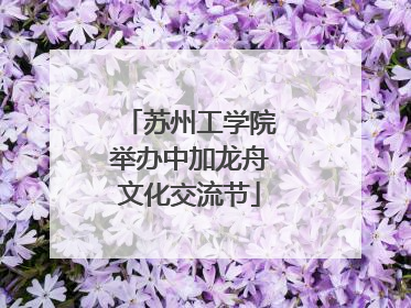 苏州工学院举办中加龙舟文化交流节