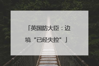 英国防大臣：边境“已经失控”