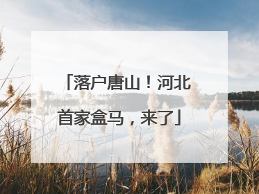 落户唐山！河北首家盒马，来了