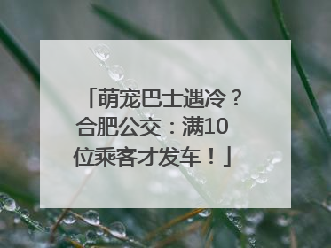 萌宠巴士遇冷？合肥公交：满10位乘客才发车！