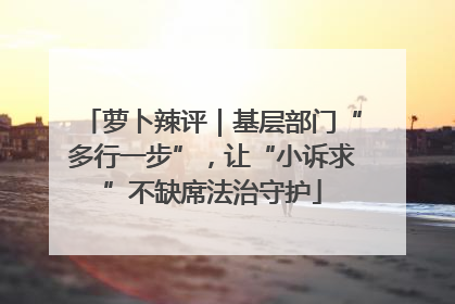 萝卜辣评｜基层部门“多行一步”，让“小诉求”不缺席法治守护