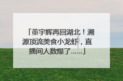 董宇辉再回湖北！溯源顶流美食小龙虾，直播间人数爆了……