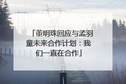 董明珠回应与孟羽童未来合作计划：我们一直在合作