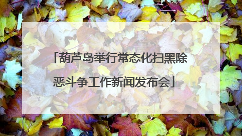 葫芦岛举行常态化扫黑除恶斗争工作新闻发布会
