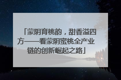 蒙阴育桃韵，甜香溢四方——看蒙阴蜜桃全产业链的创新崛起之路
