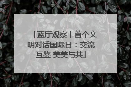 蓝厅观察丨首个文明对话国际日：交流互鉴 美美与共
