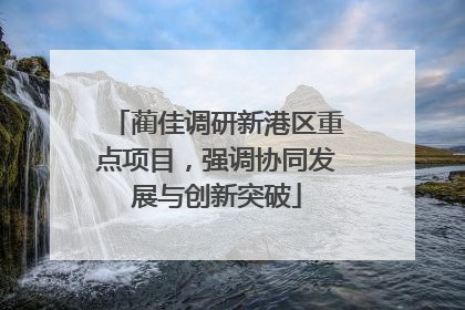 蔺佳调研新港区重点项目，强调协同发展与创新突破