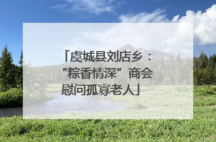 虞城县刘店乡：“粽香情深”商会慰问孤寡老人