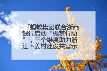 蚂蚁集团联合浙商银行启动“栀梦行动”，三个维度助力浙江下姜村建设共富示范区示范点