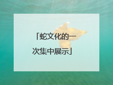 蛇文化的一次集中展示