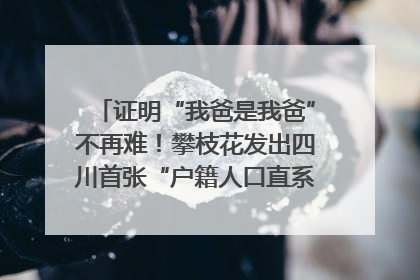 证明“我爸是我爸”不再难！攀枝花发出四川首张“户籍人口直系亲属关系谱”