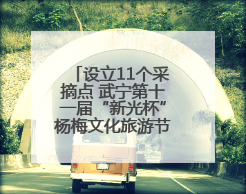 设立11个采摘点 武宁第十一届“新光杯”杨梅文化旅游节开幕（组图）
