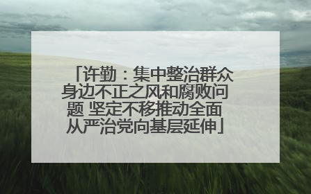 许勤：集中整治群众身边不正之风和腐败问题 坚定不移推动全面从严治党向基层延伸