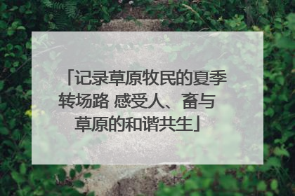 记录草原牧民的夏季转场路 感受人、畜与草原的和谐共生