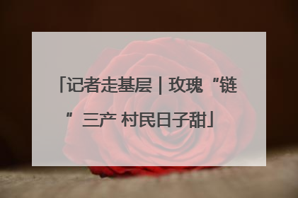 记者走基层｜玫瑰“链”三产 村民日子甜
