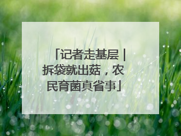 记者走基层｜拆袋就出菇，农民育菌真省事