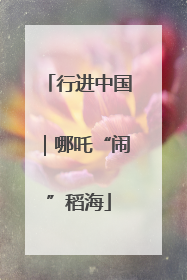 行进中国｜哪吒“闹”稻海