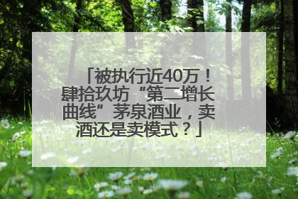 被执行近40万！肆拾玖坊“第二增长曲线”茅泉酒业，卖酒还是卖模式？