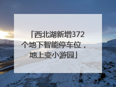 西北湖新增372个地下智能停车位，地上变小游园