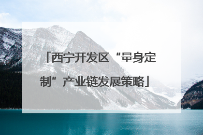 西宁开发区“量身定制”产业链发展策略