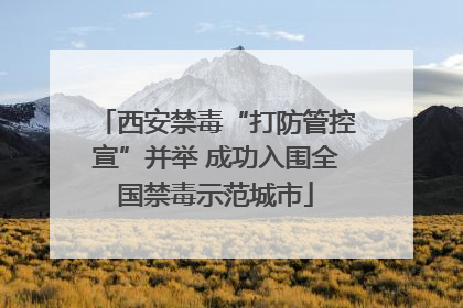 西安禁毒“打防管控宣”并举 成功入围全国禁毒示范城市