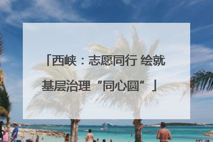 西峡：志愿同行 绘就基层治理“同心圆”
