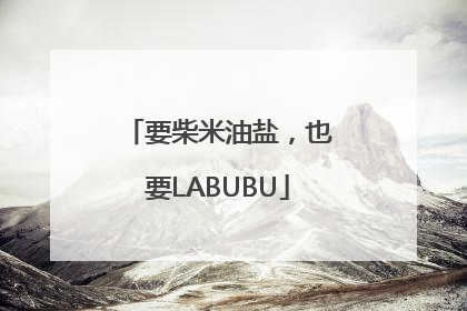 要柴米油盐，也要LABUBU