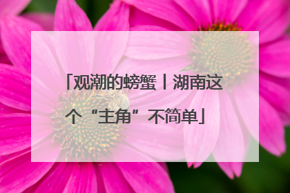 观潮的螃蟹丨湖南这个“主角”不简单