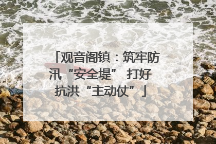 观音阁镇：筑牢防汛“安全堤” 打好抗洪“主动仗”