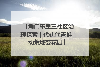 角门东里三社区治理探索｜代建代管推动荒地变花园