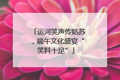 运河笑声传姑苏，端午文化盛宴“笑料十足”