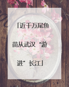 近千万尾鱼苗从武汉“游进”长江
