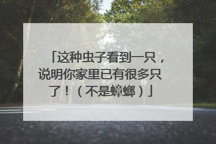 这种虫子看到一只，说明你家里已有很多只了！（不是蟑螂）