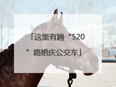 这里有趟“520”路婚庆公交车