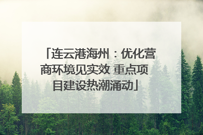 连云港海州：优化营商环境见实效 重点项目建设热潮涌动